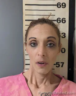 Recent Mugshot Image for DONELLE ELIZABETH JAMES in Covington County, Alabama