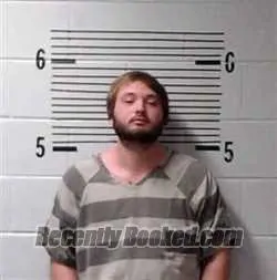 Recent Mugshot Image for K DAWSON in Elmore County, Alabama