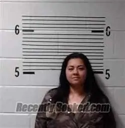 Recent Mugshot Image for H SONGAO in Elmore County, Alabama