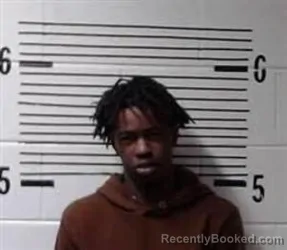 Recent Mugshot Image for L HALL in Elmore County, Alabama