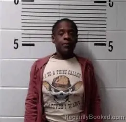 Recent Mugshot Image for A ANDERSON in Elmore County, Alabama
