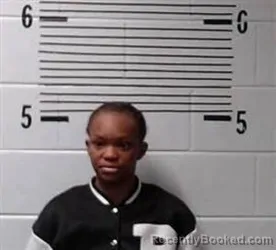 Recent Mugshot Image for A SMITH in Elmore County, Alabama