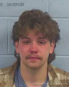 Recent Mugshot Image for JOHN HANSON in Etowah County, Alabama