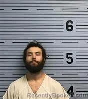 Recent Mugshot Image for GEORGE OWENS in Jackson County, Alabama