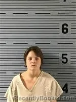Recent Mugshot Image for BROOKLYN GIFFORD in Jackson County, Alabama