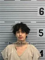 Recent Mugshot Image for KAMDEN OLIVAS in Jackson County, Alabama