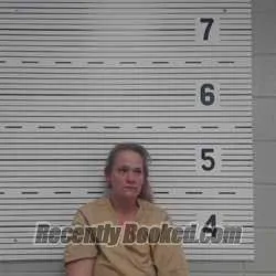 Recent Mugshot Image for AMANDA BORDEN in Lawrence County, Alabama