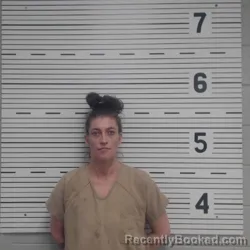 Recent Mugshot Image for SARA LEANN HARVILLE in Lawrence County, Alabama