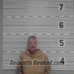 Recent Mugshot Image for DONNA S JEFFREYS in Lawrence County, Alabama