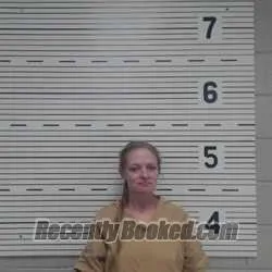 Recent Mugshot Image for LAURA ANN JURANEK TURNER in Lawrence County, Alabama