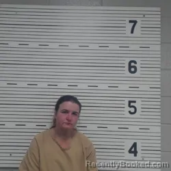 Recent Mugshot Image for TAMICKA DAWN LEWIS in Lawrence County, Alabama