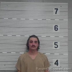 Recent Mugshot Image for CARSYN DOYLE MORELAND in Lawrence County, Alabama