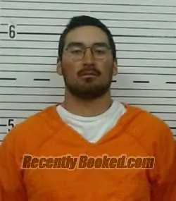 Recent Mugshot Image for VANDER HODGES in Lowndes County, Alabama