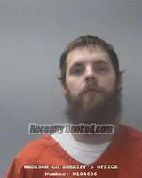 Recent Mugshot Image for AUSTIN DALE LONG in Madison County, Alabama