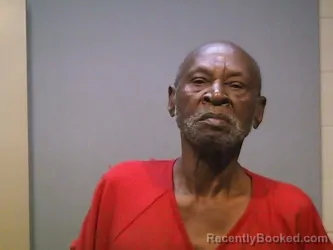 Recent Mugshot Image for  JOHNSON in Marengo County, Alabama