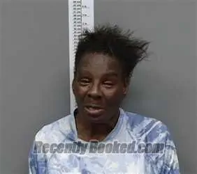 Recent Mugshot Image for Barbara Ann Phifer in Randolph County, Alabama