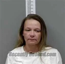 Recent Mugshot Image for Ashley Ann Cook in Randolph County, Alabama