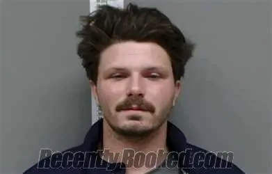 Recent Mugshot Image for Dalton Baylee Newsome in Randolph County, Alabama