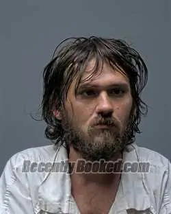 Recent Mugshot Image for Aaron Lewis Starling in Russell County, Alabama