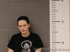 Recent Mugshot Image for JAMIE BENTON in St Clair County, Alabama