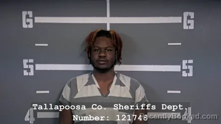 Recent Mugshot Image for WALTER DWAYNE HARRIS in Tallapoosa County, Alabama