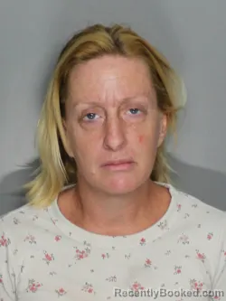 Recent Mugshot Image for JAMIE LYNN EDWARDS in Charlotte County, Florida