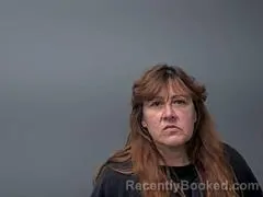 Recent Mugshot Image for MARY R TAYLOR in Baxter County, Arkansas