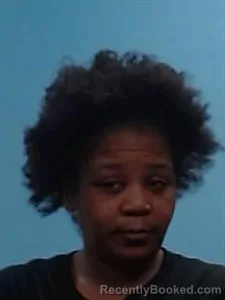 Recent Mugshot Image for Danielle Yvonne Holloway in Boone County, Arkansas