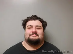 Recent Mugshot Image for William Jonathan Bullard in Craighead County, Arkansas