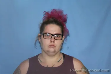 Recent Mugshot Image for THERESA MARIE HUNTER in Crawford County, Arkansas