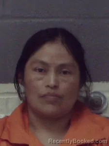 Recent Mugshot Image for Amparo A Ramos-Mendez in Crittenden County, Arkansas