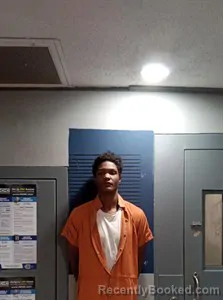 Recent Mugshot Image for Christopher J Rufus in Dallas County, Arkansas