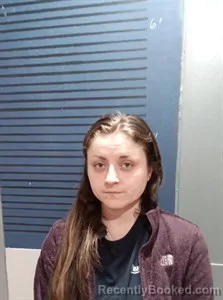 Recent Mugshot Image for Sunni Jo Anne Stephens in Dallas County, Arkansas