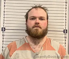 Recent Mugshot Image for DALTON WILMOTH in Greene County, Arkansas
