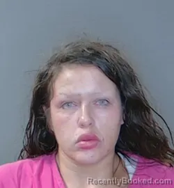Recent Mugshot Image for Rachel Lynn Boswell in Georgetown County, South Carolina