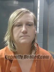 Recent Mugshot Image for Angela NICOLE PETERSON in Johnson County, Arkansas
