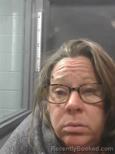 Recent Mugshot Image for Heather Johnson in Johnson County, Arkansas