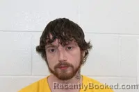 Recent Mugshot Image for ROBERT A WICKER in Nevada County, Arkansas