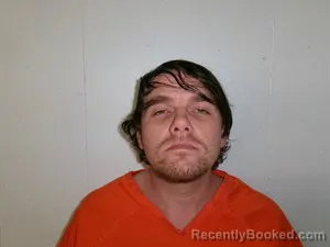 Recent Mugshot Image for Stephen Lee Benson in Searcy County, Arkansas