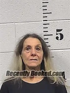 Recent Mugshot Image for Cindy Colleen Lee in Sharp County, Arkansas