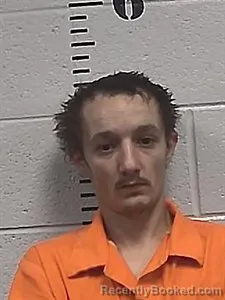 Recent Mugshot Image for Johnithyn W Stites in Sharp County, Arkansas