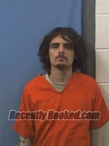 Recent Mugshot Image for David ALLEN JOHNSON in Van Buren County, Arkansas