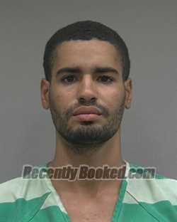 Recent Mugshot Image for BRYAN ANDRES GONZALEZ MENA in Alachua County, Florida