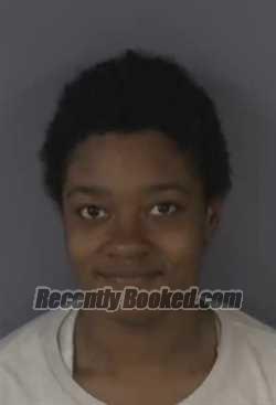 Recent Mugshot Image for TIARA ALFORD in Clay County, Florida