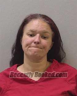 Recent Booking / Mugshot for BREANA DAWN BOYER in Lexington County