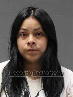 Recent Mugshot Image for ANNA ALEJO CACARI in Hamilton County, Iowa