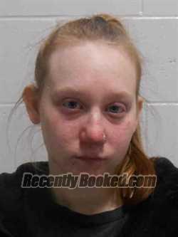 Recent Mugshot Image for ELIZABETH RACHELLE HALL in Henry County, Iowa