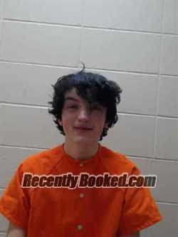 Recent Mugshot Image for JESSEE ANDERSON in Ida County, Iowa