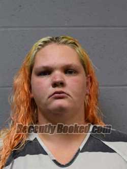 Recent Mugshot Image for GABRIEL LYNN MATHEWS in MIlls County, Iowa