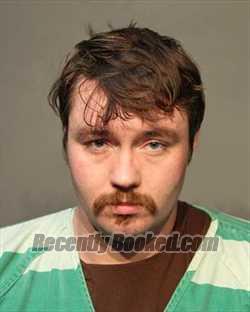 Recent Mugshot Image for TYLER LEE MCBRIDE in Polk County, Iowa